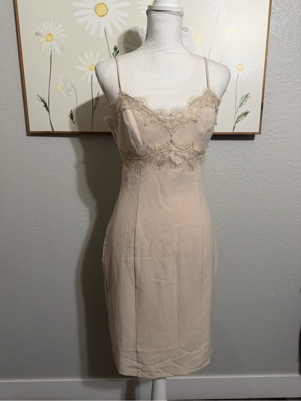 Boston Proper Blush Lace-Trim size  8 color beige